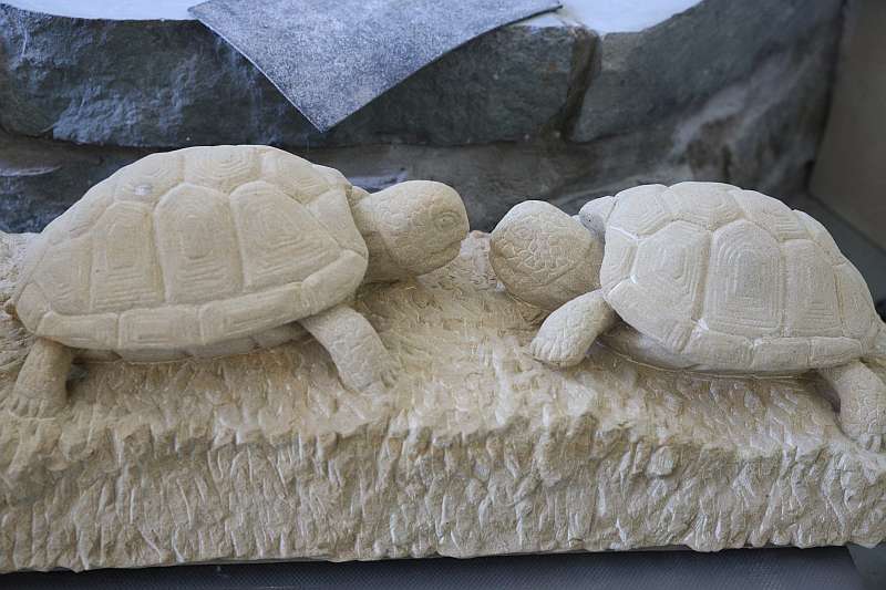 Zwei Schildkröten aus Stein gemetzt - Traumberufe Steinmetz 2023
